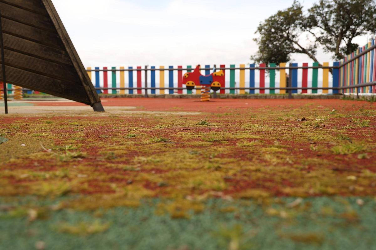 El musgo nace entre el caucho de la zona infantil.