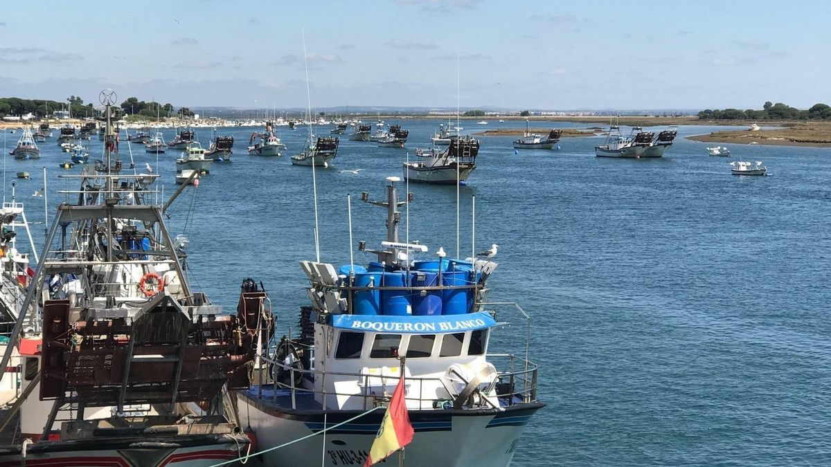 Flota pesquera en Punta Umbría.