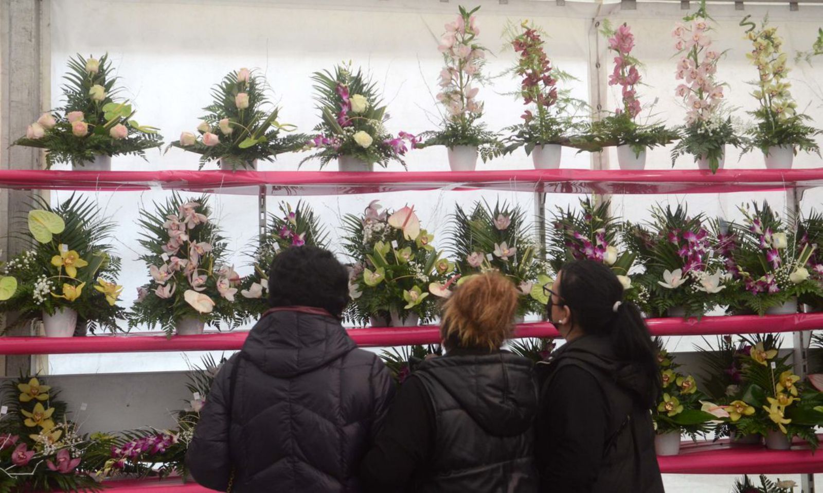 La venta de flores en Cambados.