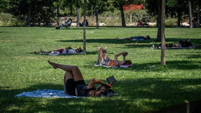 Unes persones es refugien en un parc de Barcelona durant un dia d’altes temperatures.