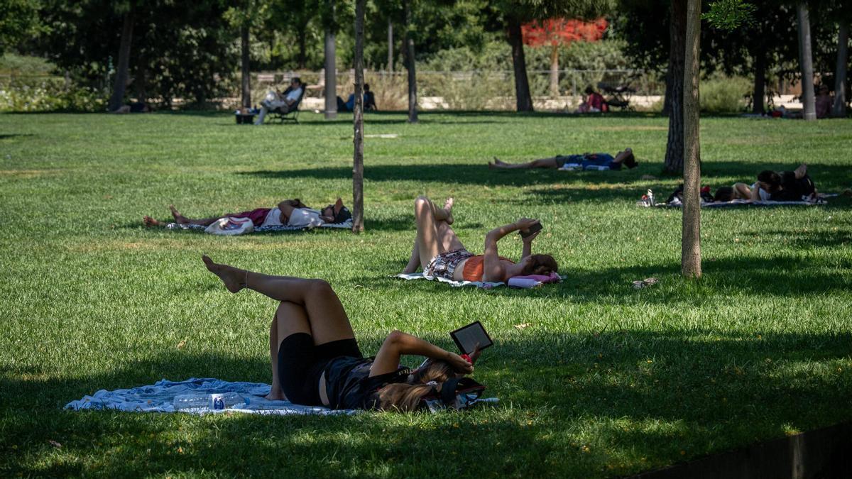 OLA DE CALOR ESPAÑA | La segunda ola del verano eleva el riesgo ante máximas por encima de los 42 grados y un peligro de incendios extremo