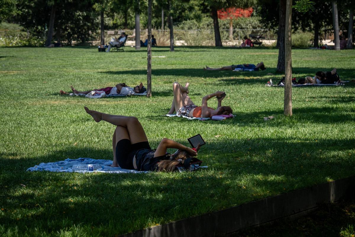 La segona onada de calor de l’estiu eleva el risc davant de màximes per sobre dels 42 graus i un perill d’incendis extrem
