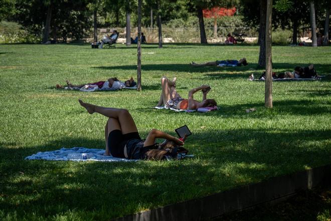 La segunda ola de calor del verano eleva el riesgo ante máximas por encima de los 42 grados y un peligro de incendios extremo