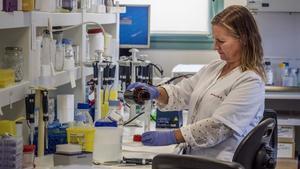 Laboratorio de oncología en el Hospital Sant Joan de Déu.