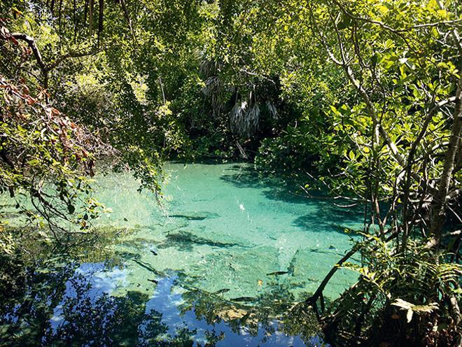 Parque Ecológico Ojos Indígenas