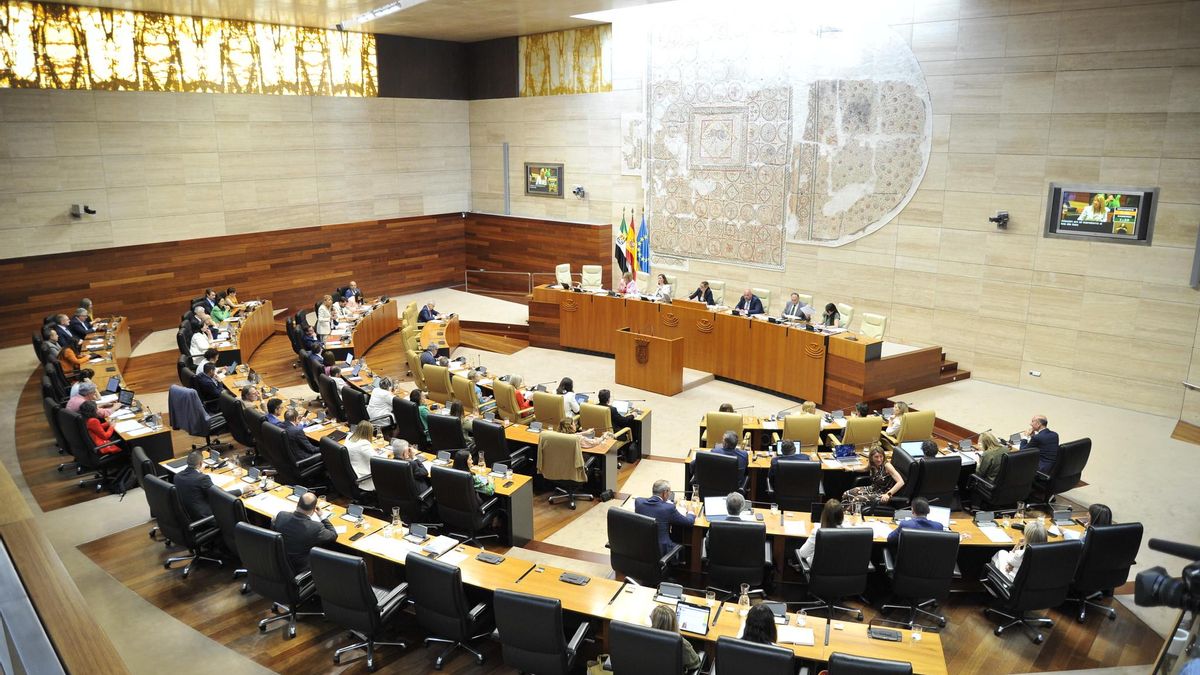 Unidas y PSOE presentan más de cien enmiendas a la Ley de Concordia en la Asamblea.