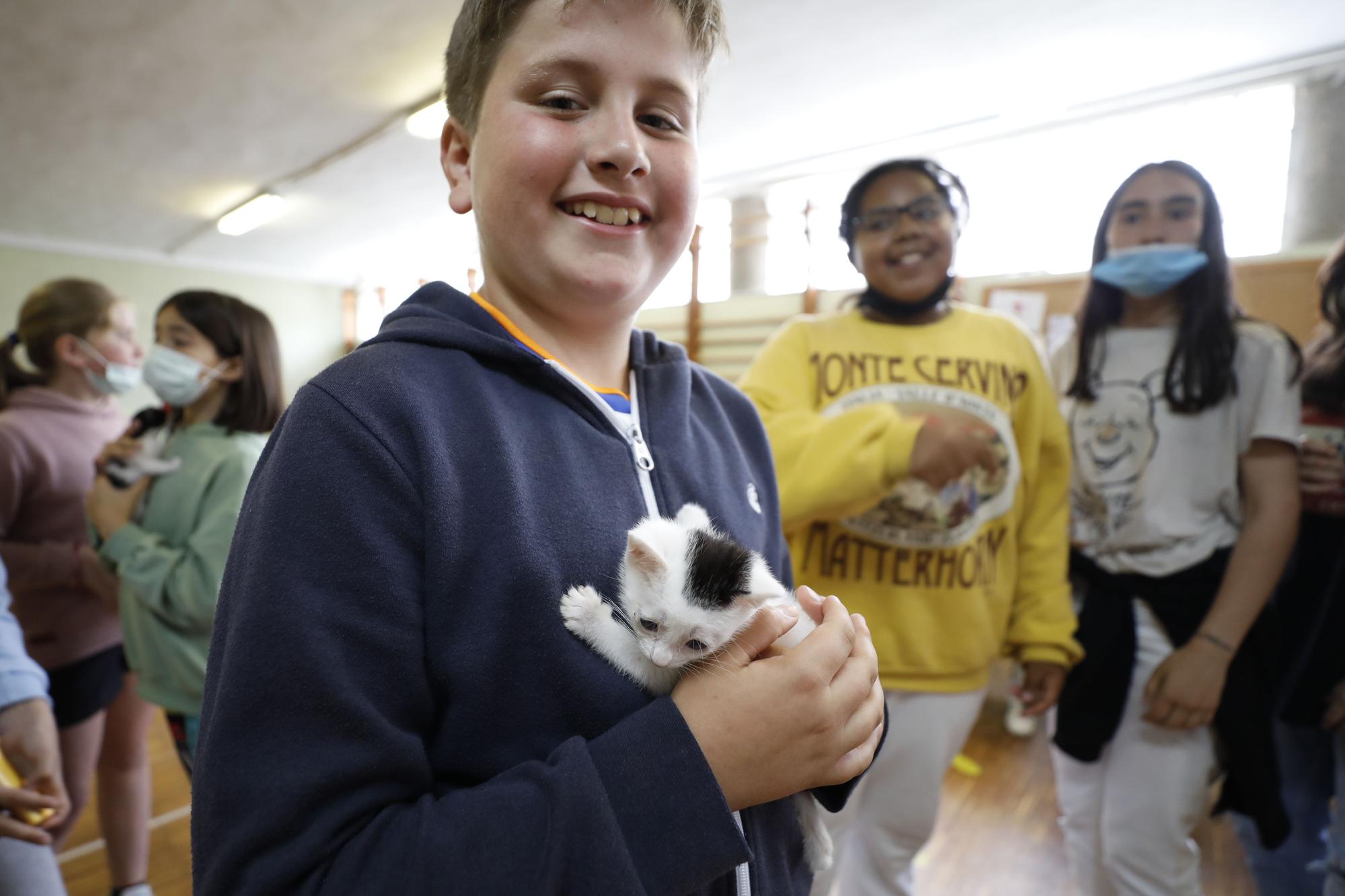 El Albergue de Animales visita a los niños del Gesta