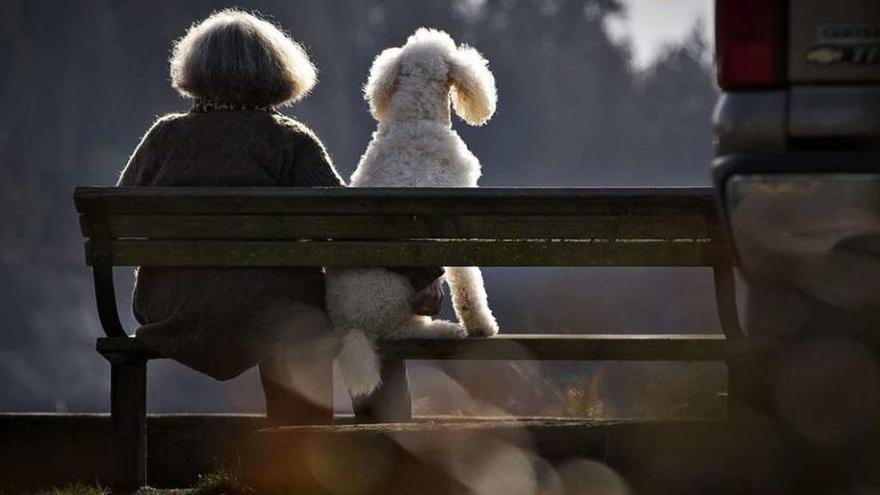 Una mujer sentada en un banco con su perro.