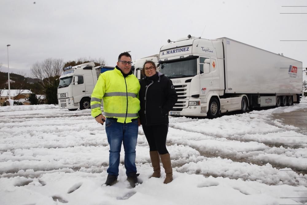 Efectos del temporal de nieve en Requena