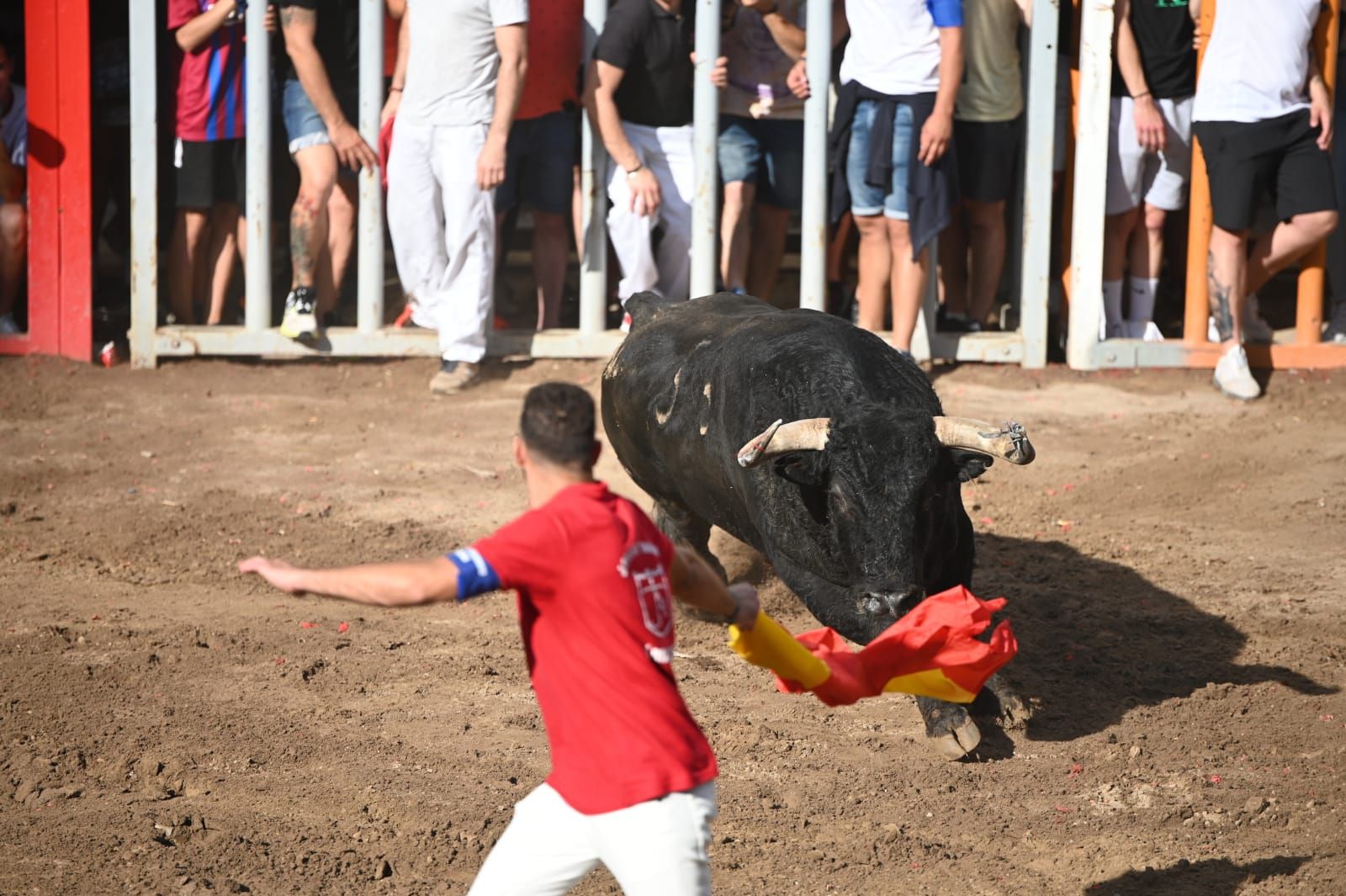 Lo mejor del lunes taurino de las fiestas de Almassora 2022