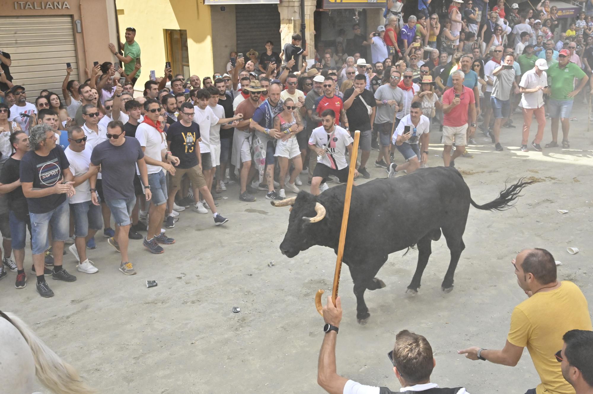 Todas las fotos de la cuarta Entrada de Toros y Caballos de Segorbe