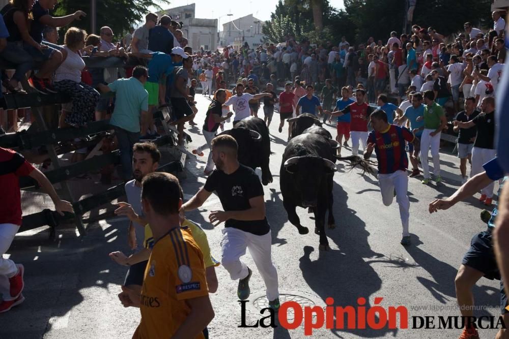 Primer encierro de Calasparra