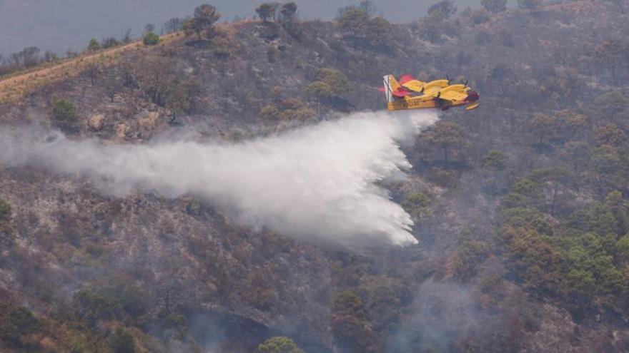 Una avión vierte agua sobre la zona forestal en Peñas Blancas.