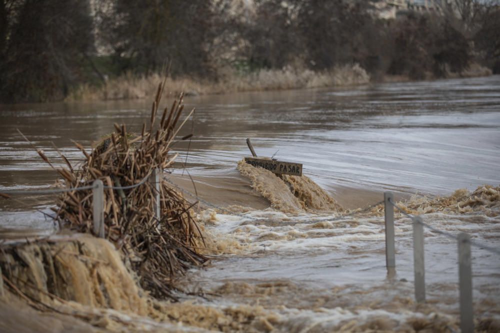 Crecida del río Duero por Zamora capital.