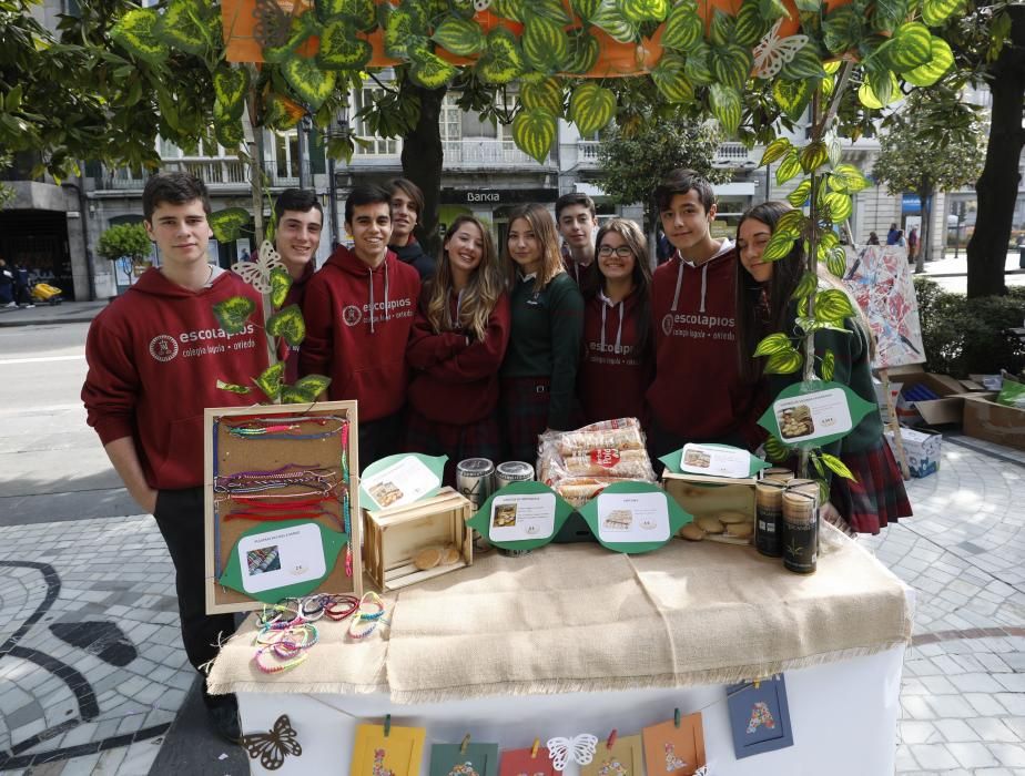 Mercadillo Solidario de Escolares en Oviedo