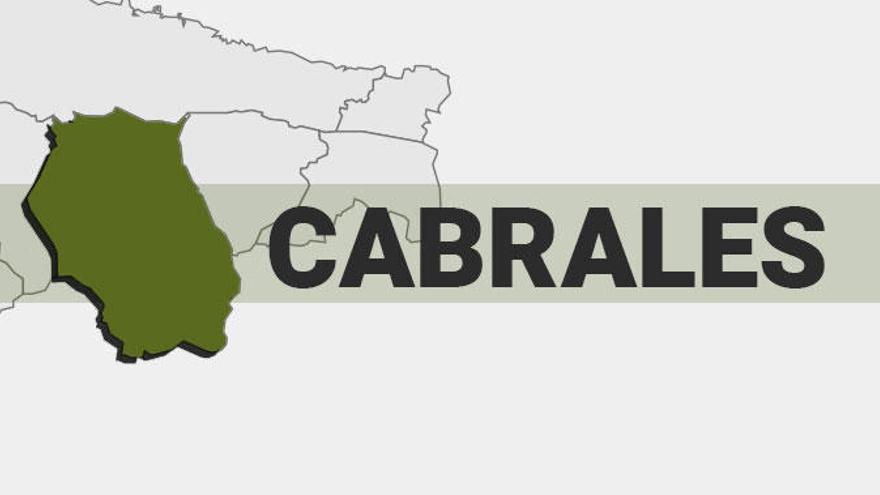 Resultados de las elecciones generales en Cabrales