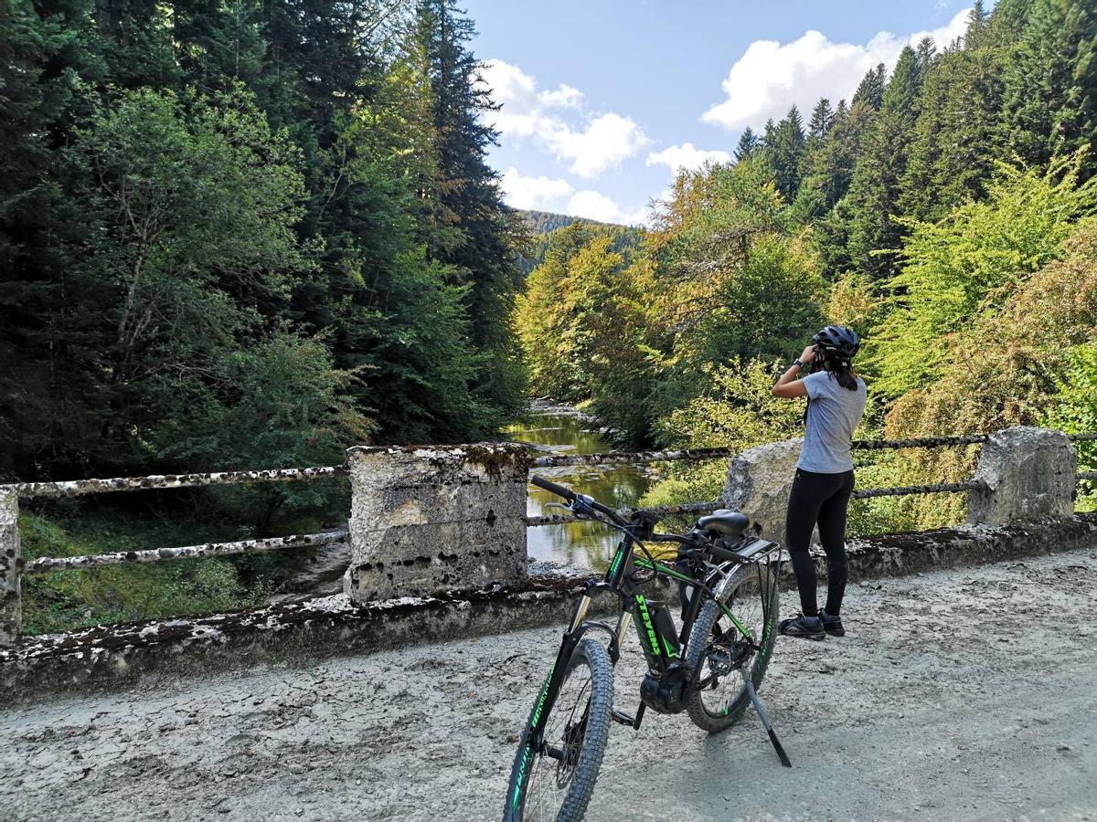 Selva de Irati