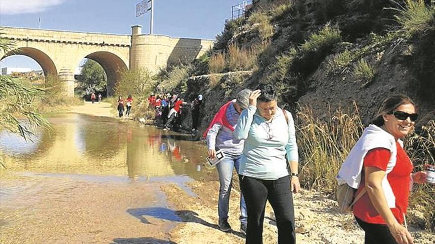 Repoblarán la senda del Millars con más especies