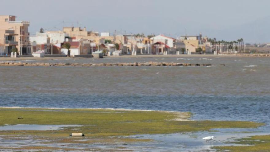 El Ministerio no descontaminará el Mar Menor hasta que cesen todos los vertidos
