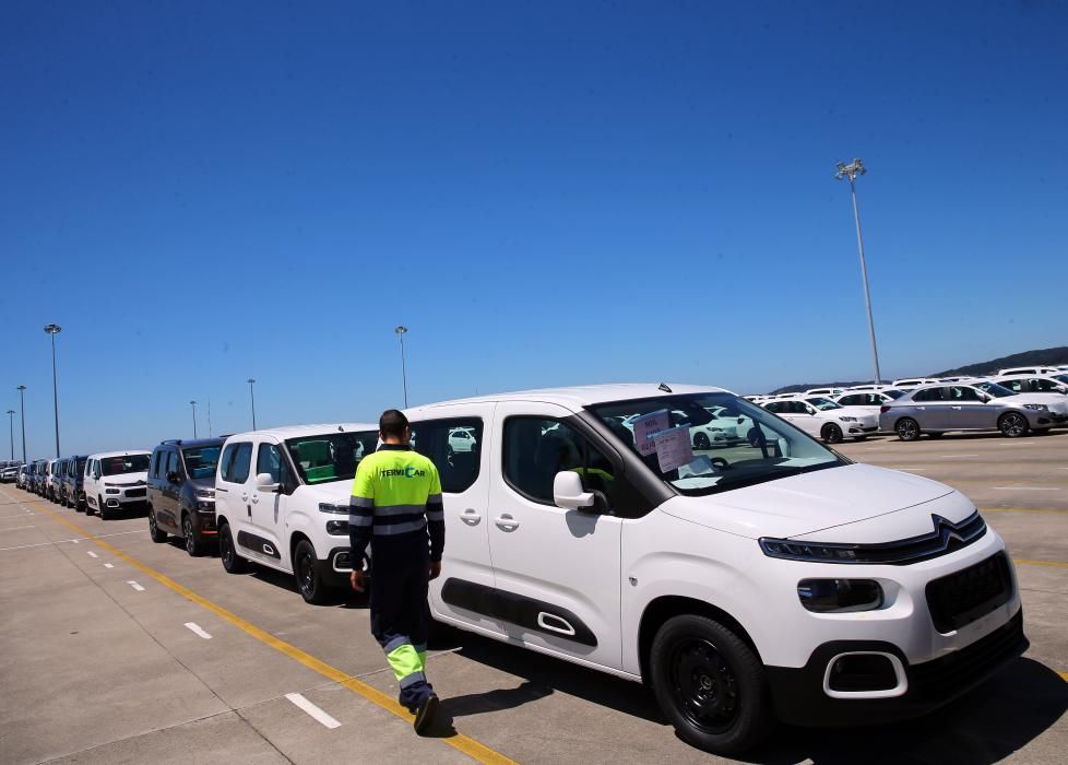 Los vehículos, en la terminal de Bouzas // Marta G. Brea