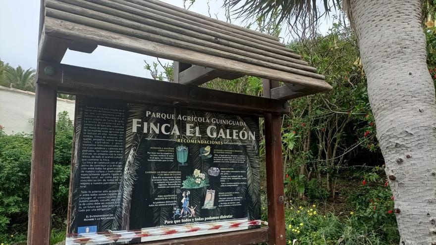 Santa Brígida restablece la vigilancia y amplía el horario de la finca El Galeón