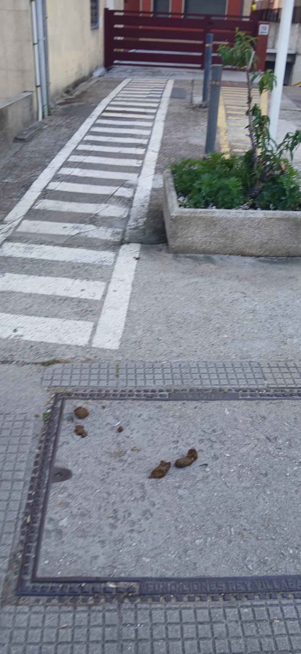 Excremento de perro en la avenida de Ourense