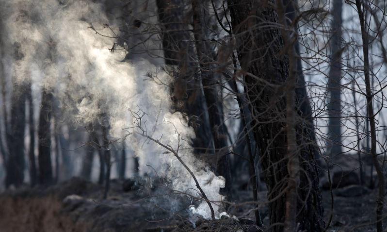 Incendi a Artés