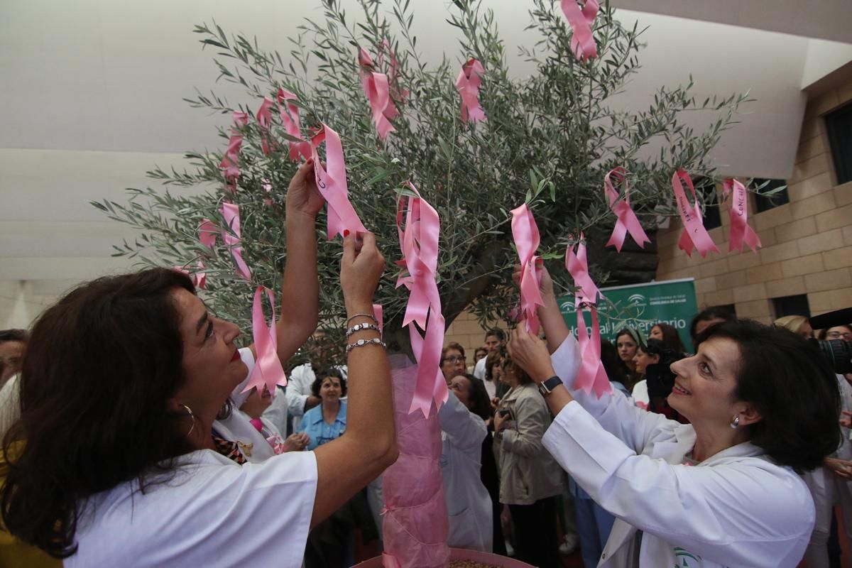 El Reina Sofía conmemora la lucha contra el cáncer de mama