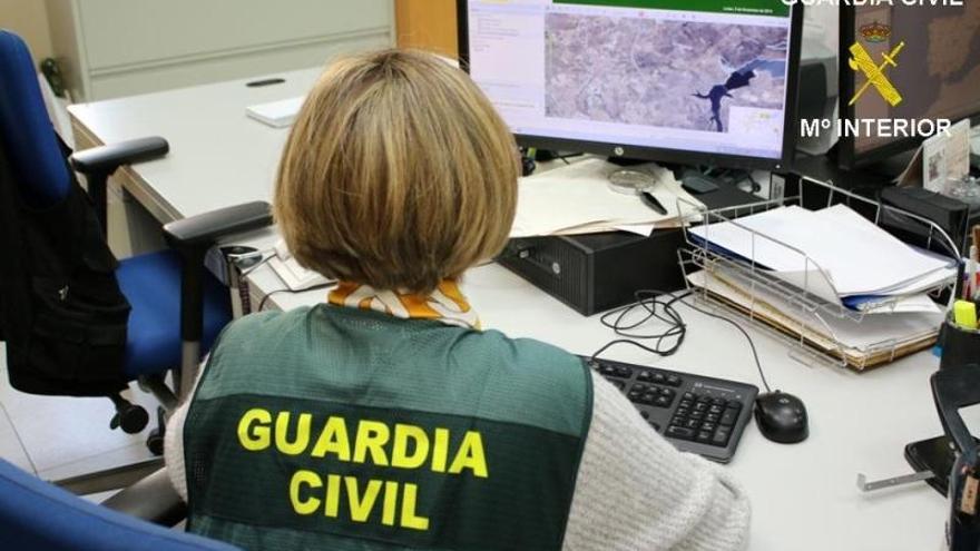 La Guardia Civil desarticula una red especializada en estafas a la PAC