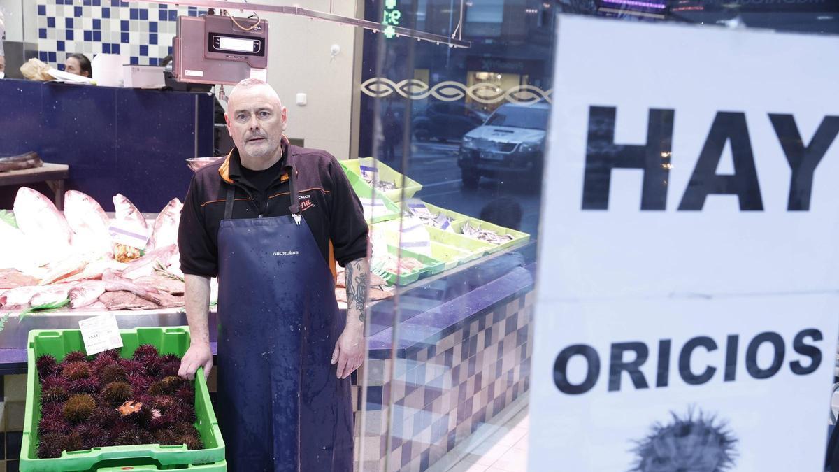 Los primeros oricios asturianos llegan a El Llano a precio de lujo: “Están caros, pero van a volar”