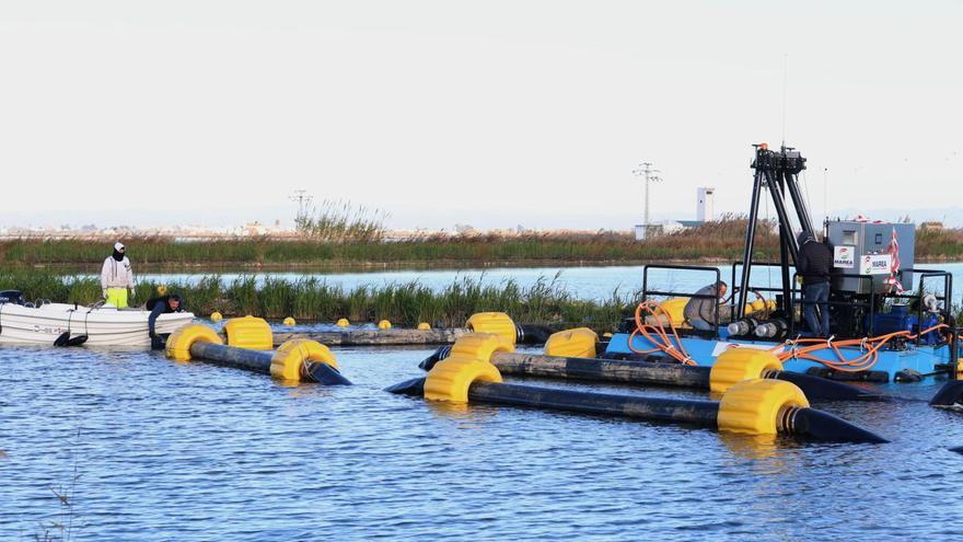 Conselleria apura la legislatura sin los planes de gestión para l’Albufera