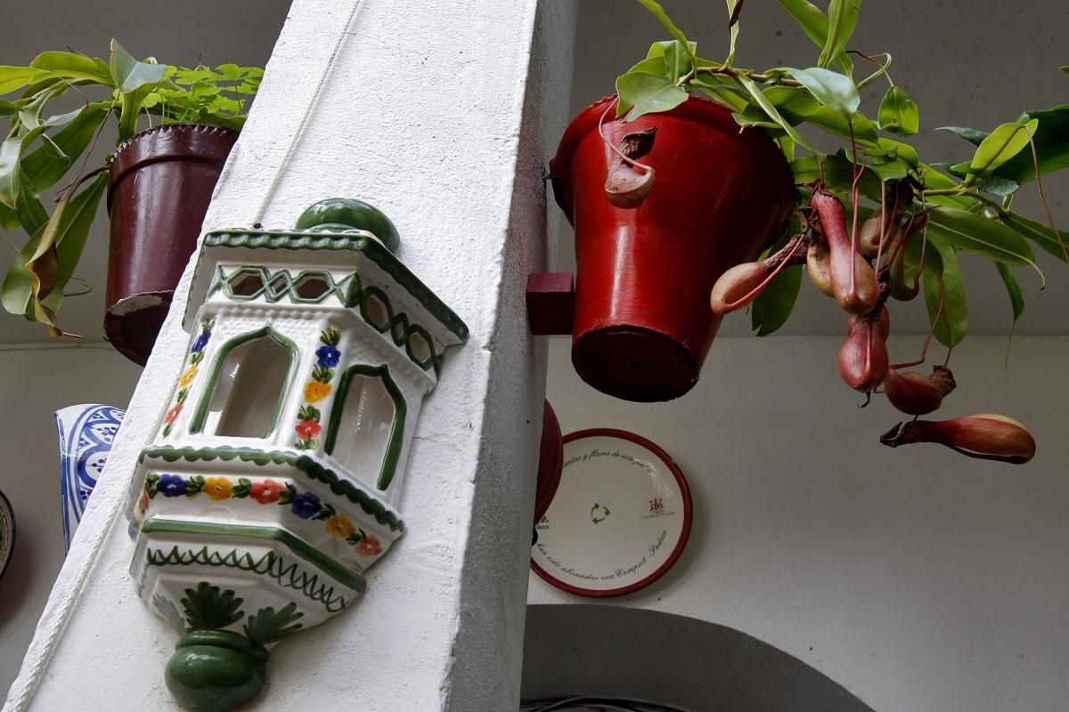 Apurando la fiesta de los patios por la Judería