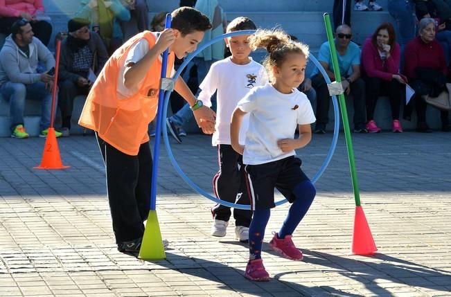 CARRERA SOLIDARIA NIÑOS CÁNCER COLEGIO ESTEBAN ...