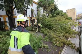 Rachas de viento de hasta 90 km/h dejan 150 incidencias en Córdoba