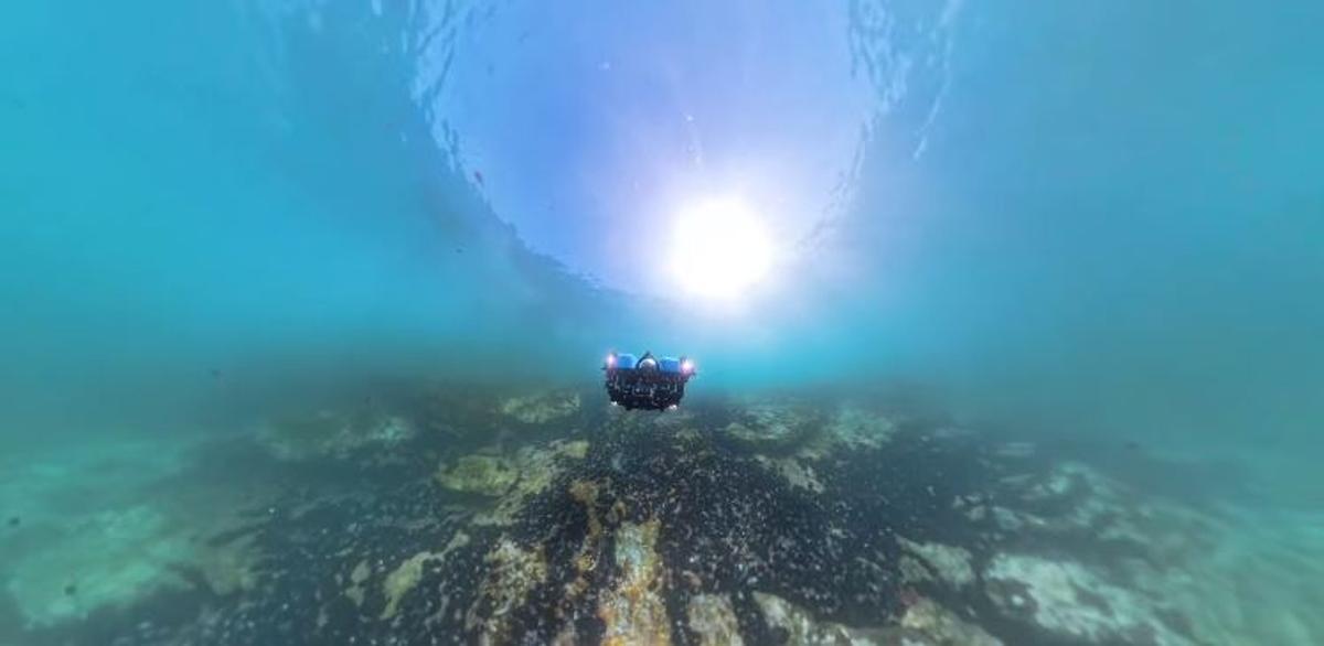 El ROV empleado para analizar la densidad poblacional de la especie.