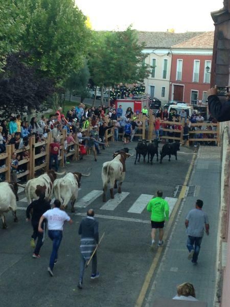 Toro de cajón y encierro urbano en Toro