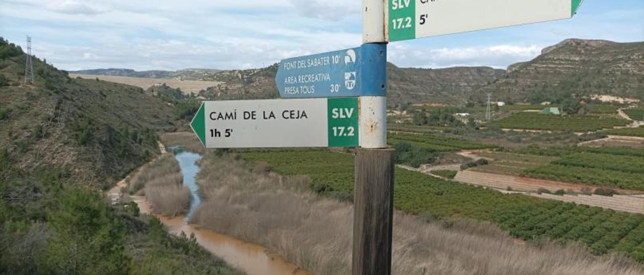 Punto del término de Sumacàrcer en el que el Xúquer cambia de coloración en una imagen del jueves. Al fondo, la presa de Tous. | FERMÍN GARCÍA