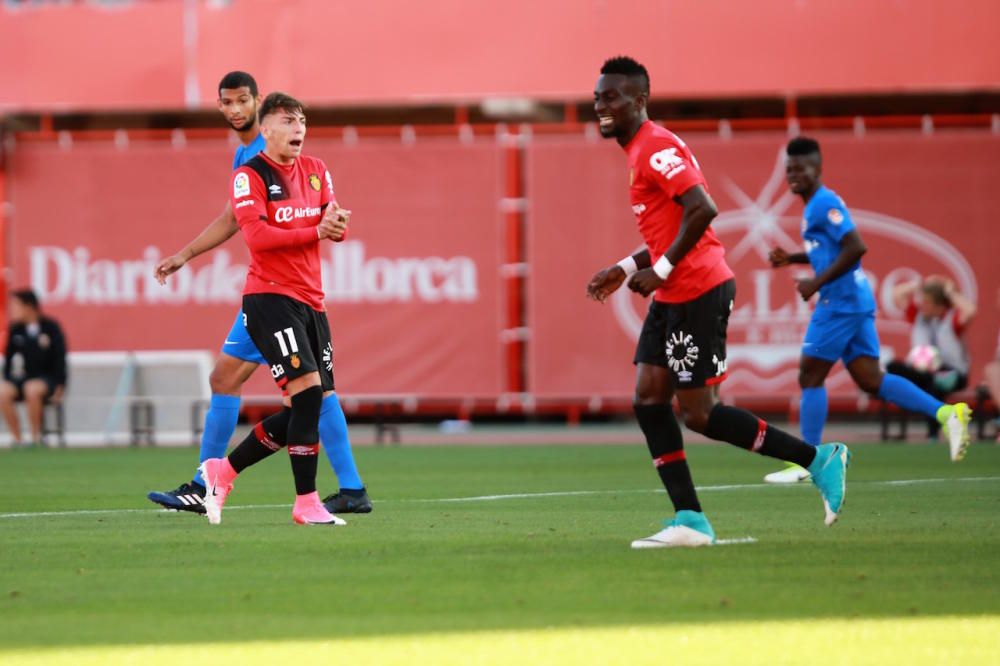 Real Mallorca kämpft weiter verbissen gegen den Abstieg. Der Zweitligist hat am Samstag (20.5.) im Stadion von Son Moix gegen Almería drei wichtige Punkte geholt.