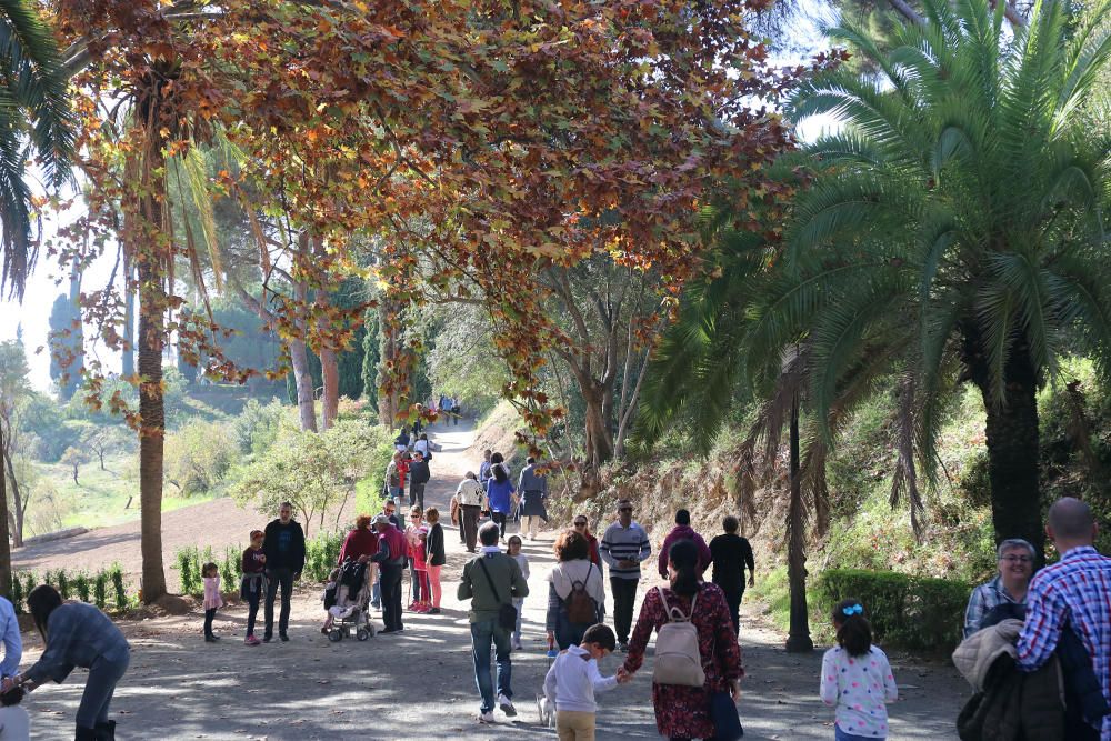 Afluencia masiva de público al botánico con motivo del mercado navideño que ofrecía, además, la posibilidad de visitar de forma gratuita, los jardines