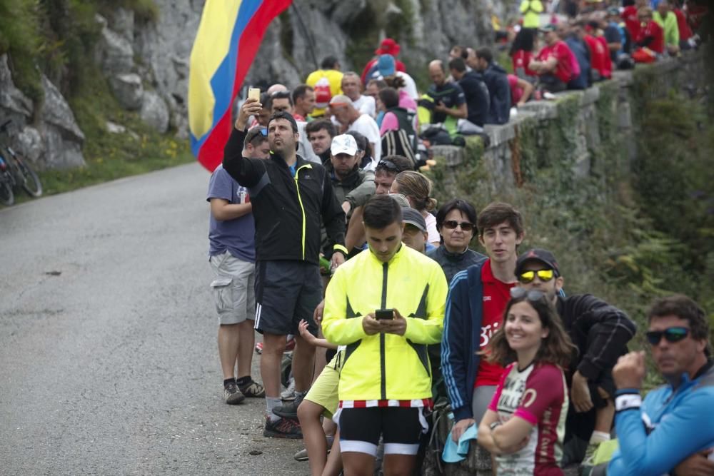 Vuelta ciclista a España. Lagos de Covadonga