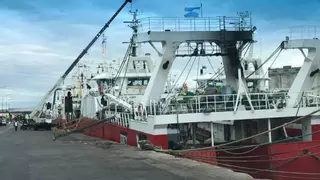 La pesca fresca de langostino secunda el paro total en Argentina: «En jaque»