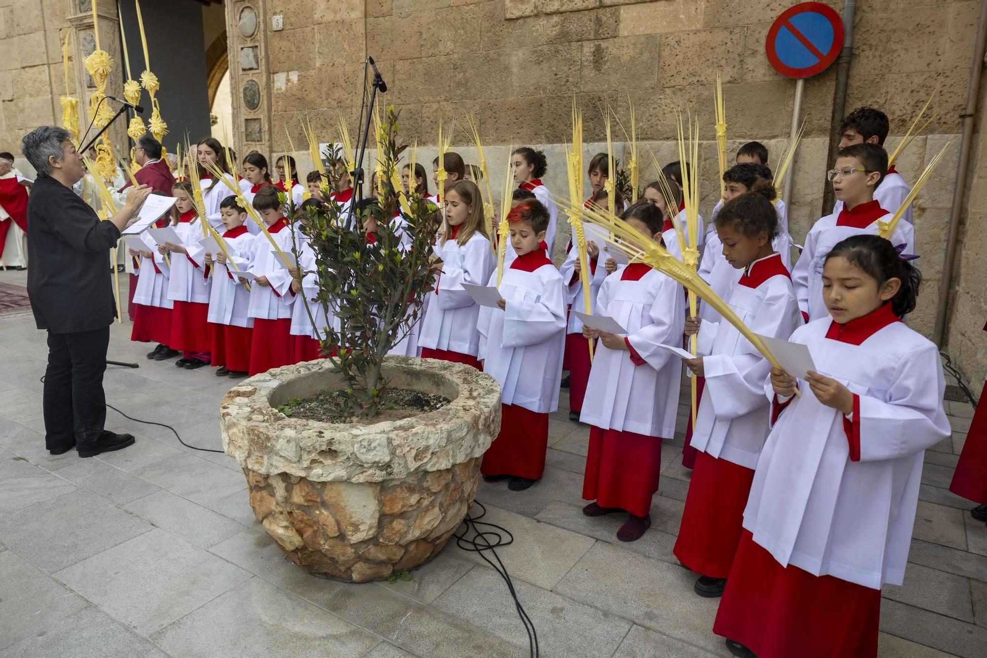 Domingo de Ramos en Mallorca