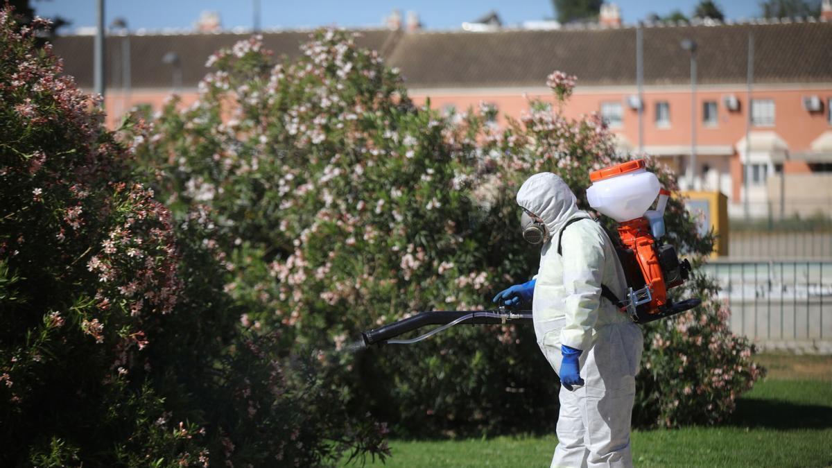 Labores de fumigación y el tratamiento de imbornales contra el mosquito para prevenir el Virus del Nilo