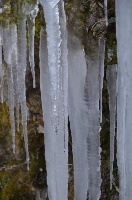 Paratges berguedans totalment glaçats