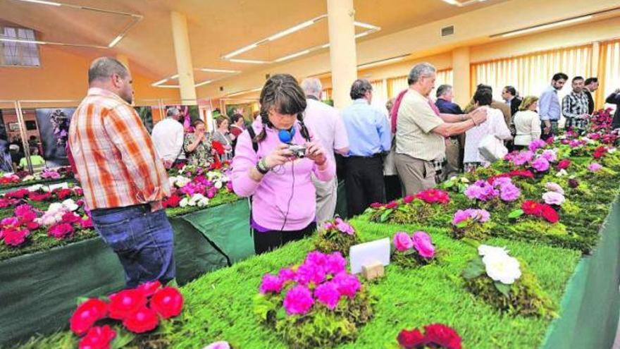 Asistentes a la inauguración de la VIII Exposición de camelias de Turón.