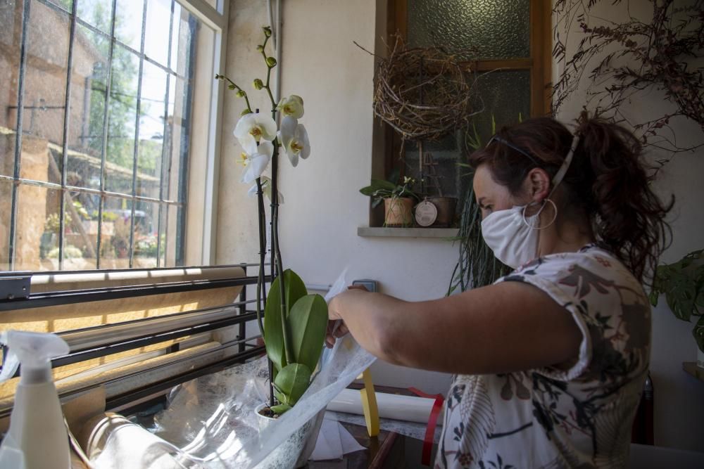 Coronavirus en Mallorca: Flores para madres confinadas