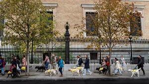 Una marcha de perros guía.