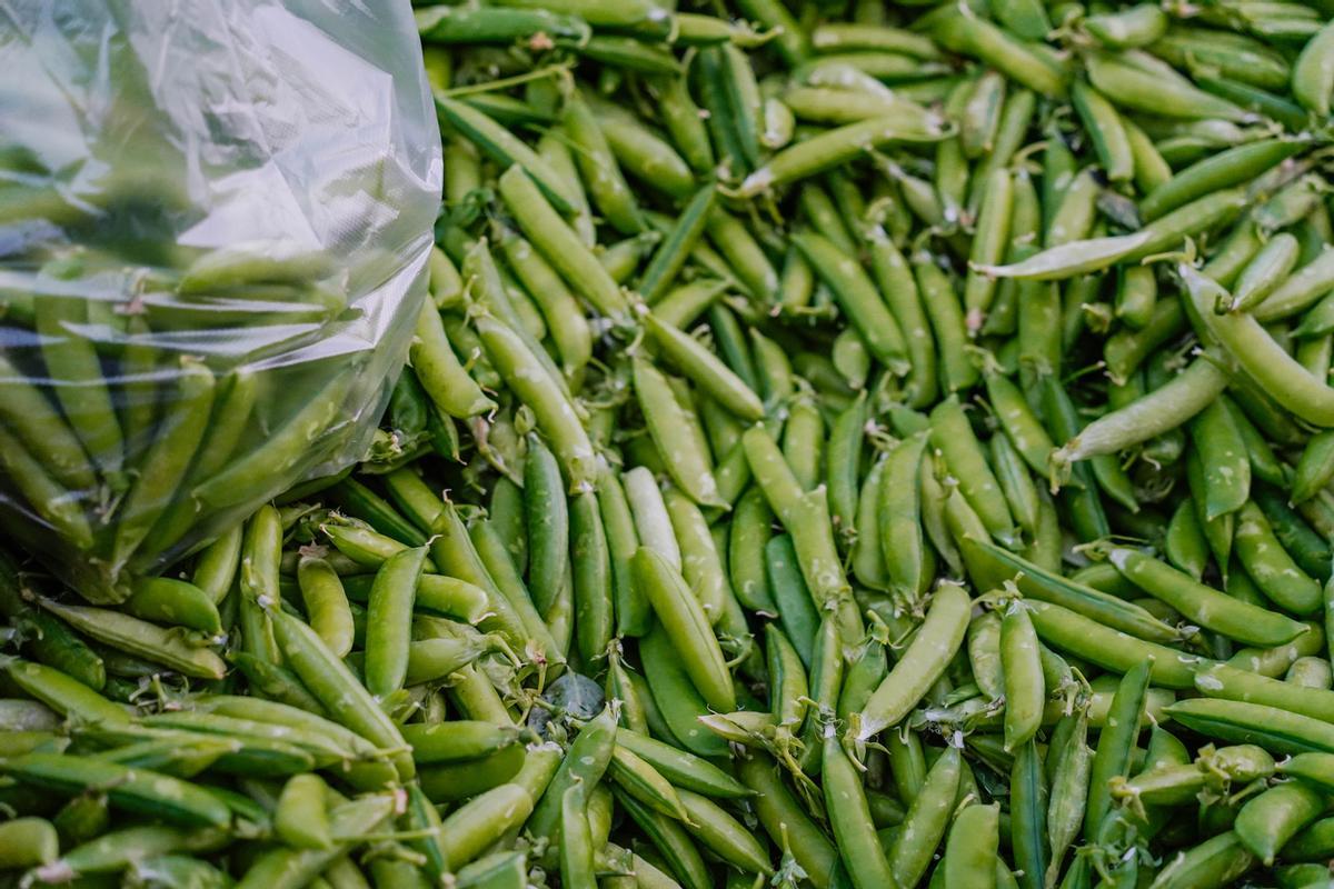 Primer plano en una pila de guisantes verdes orgánicos en sus vainas en un puesto de mercado