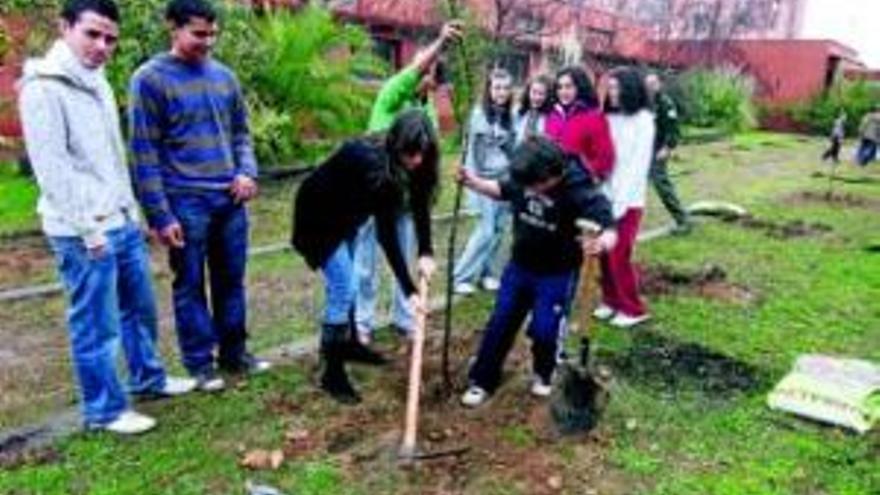 Arboles con raíces literarias