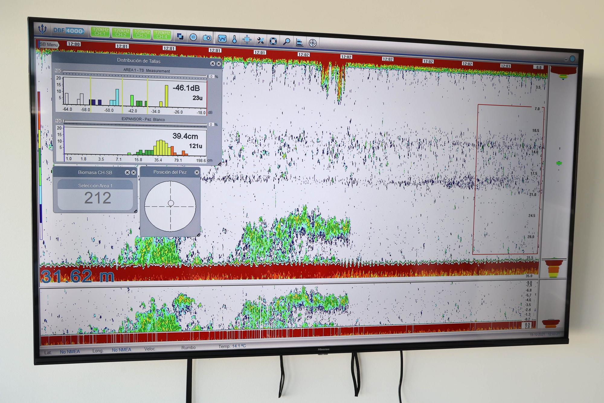 Sonda Seaman para una pesca selectiva y sostenible.